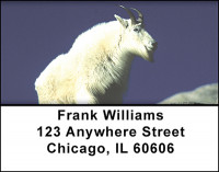 Majestic Big Game Address Labels | LBBAH-21