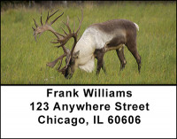 Majestic Big Game Address Labels | LBBAH-21