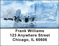 Save The Glaciers Address Labels | LBBAH-54