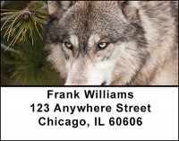 Timber Wolves Hunting Address Labels | LBBAH-90