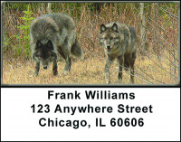 Gray Wolf Eyeing Prey Address Labels | LBBAH-91
