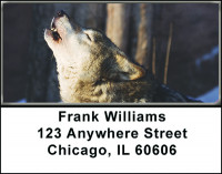 Gray Wolf Eyeing Prey Address Labels | LBBAH-91
