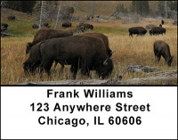 Buffalo on the Range Address Labels | LBBAH-93