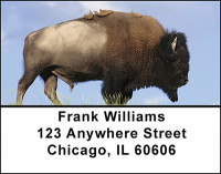 Buffalo on the Range Address Labels | LBBAH-93