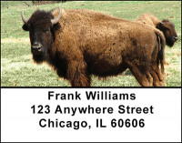 Buffalo on the Range Address Labels | LBBAH-93