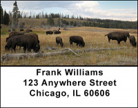 Buffalo on the Range Address Labels | LBBAH-93