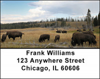 Bison Grazing Address Labels | LBBAH-94