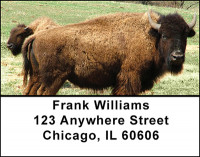 Bison Grazing Address Labels | LBBAH-94