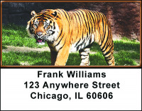 Tigers Address Labels | LBBAH-96