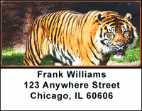 Tigers Address Labels | LBBAH-96