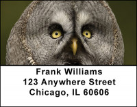 Owls Address Labels | LBBAH-97
