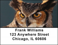 Owls Address Labels | LBBAH-97