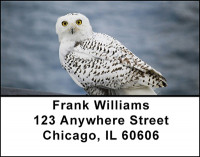 Owls Address Labels | LBBAH-97