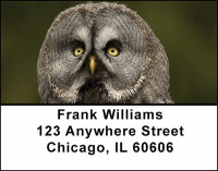Owls Address Labels | LBBAH-97