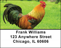 Rooster - King of the Barnyard Address Labels | LBBAH-98