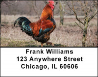 Rooster - King of the Barnyard Address Labels | LBBAH-98