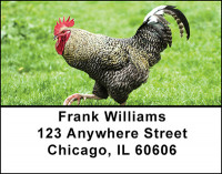Rooster - King of the Barnyard Address Labels | LBBAH-98