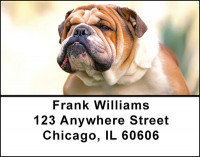 The Bulldog Address Labels | LBBAI-01