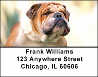 The Bulldog Address Labels | LBBAI-01