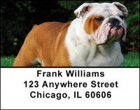 The Bulldog Address Labels | LBBAI-01