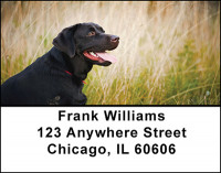 Labrador Hunting Dogs Address Labels | LBBAI-24
