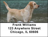 Labrador Hunting Dogs Address Labels | LBBAI-24