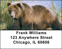 Large Bear Address Labels | LBBAI-25