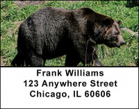 Large Bear Address Labels | LBBAI-25