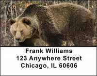 Large Bear Address Labels | LBBAI-25