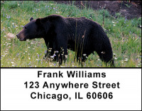 Large Bear Address Labels | LBBAI-25