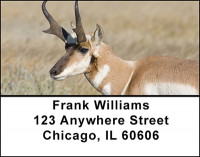 Antelope Address Labels | LBBAI-27
