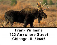 North American Deer Family Address Labels | LBBAI-29