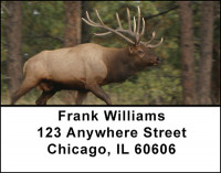 North American Deer Family Address Labels | LBBAI-29