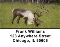 North American Deer Family Address Labels | LBBAI-29