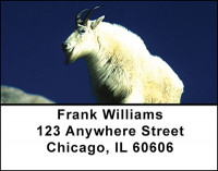 Rocky Mountain Wildlife Address Labels | LBBAI-30