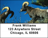Rocky Mountain Wildlife Address Labels | LBBAI-30