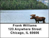 Rocky Mountain Wildlife Address Labels | LBBAI-30