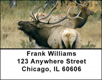 Rocky Mountain Wildlife Address Labels | LBBAI-30