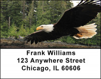 North American Predators Address Labels | LBBAI-31