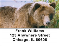 North American Predators Address Labels | LBBAI-31