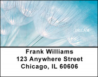 Life Quotes Address Labels | LBBAI-67