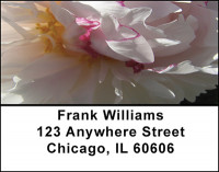 Peony Blossoms Address Labels | LBBAI-73