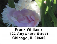 Peony Blossoms Address Labels | LBBAI-73