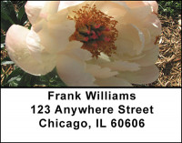 Peony Blossoms Address Labels | LBBAI-73