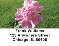 Peonies In Spring Address Labels | LBBAI-74