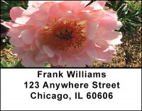 Peonies In Spring Address Labels | LBBAI-74