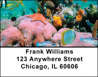 Starfish Address Labels | LBBAI-76