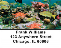 Starfish Address Labels | LBBAI-76