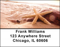 Star Fish Address Labels | LBBAI-77