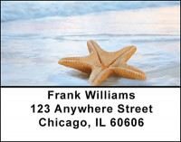 Star Fish Address Labels | LBBAI-77